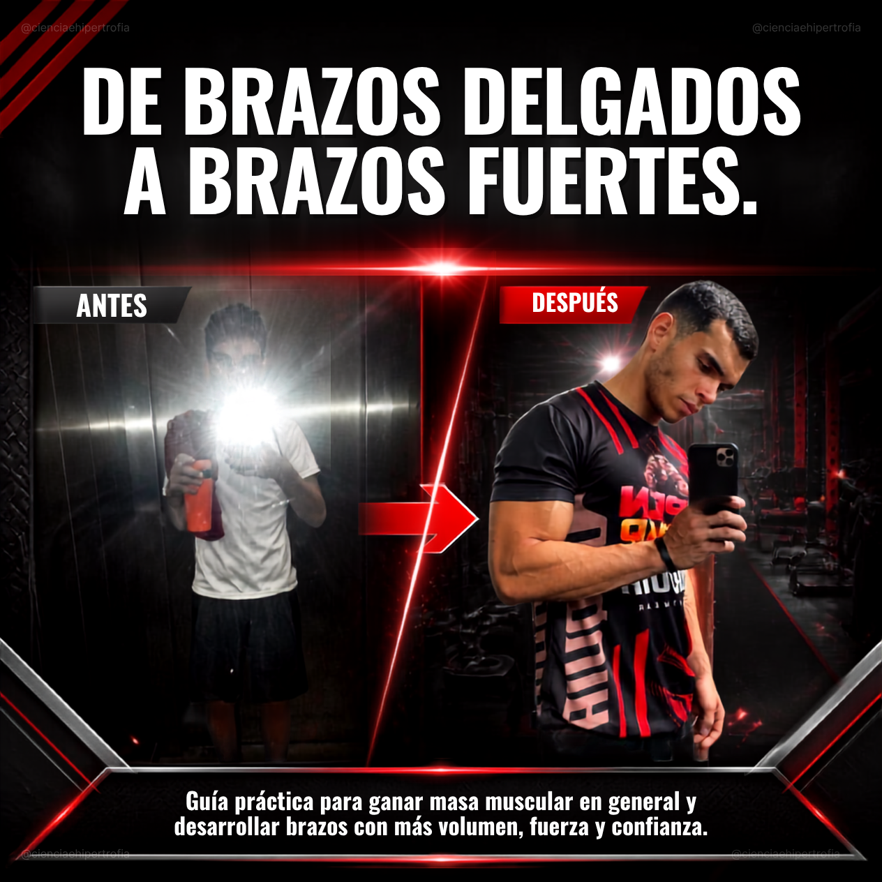 De brazos delgados a brazos fuertes en 3 meses